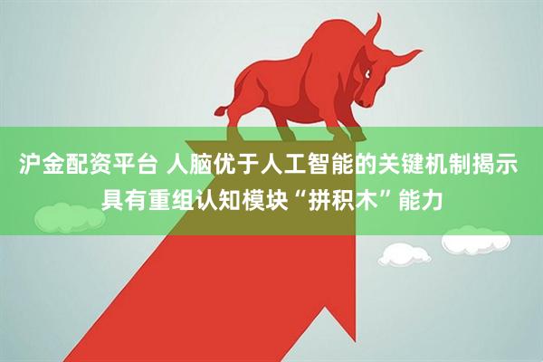 沪金配资平台 人脑优于人工智能的关键机制揭示 具有重组认知模块“拼积木”能力